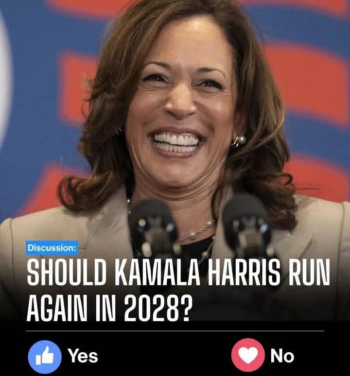 Should Kamala Harris Run Again in 2028? A Comeback Debate Takes Shape